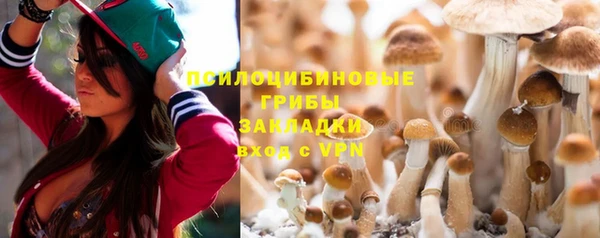 винт Гусев