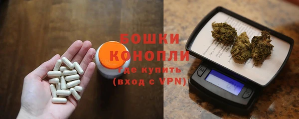 ГАЛЛЮЦИНОГЕННЫЕ ГРИБЫ Дмитров