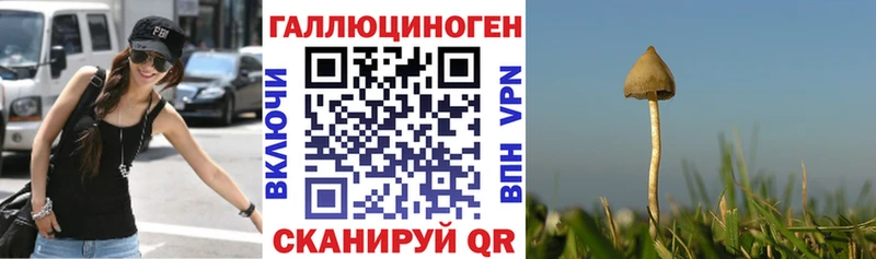 Галлюциногенные грибы Cubensis магазин Гай