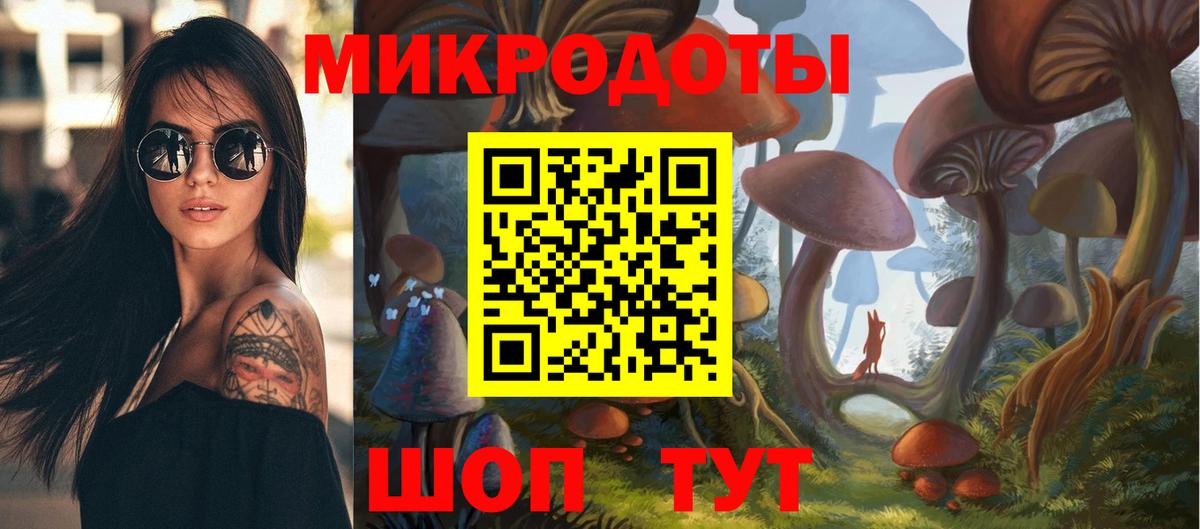 Псилоцибиновые грибы Psilocybine cubensis Гай