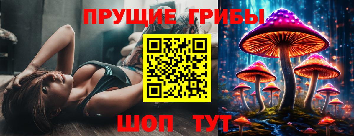 Гай  Галлюциногенные грибы мицелий  Вход с VPN  Псилоцибиновые грибы Cubensis 