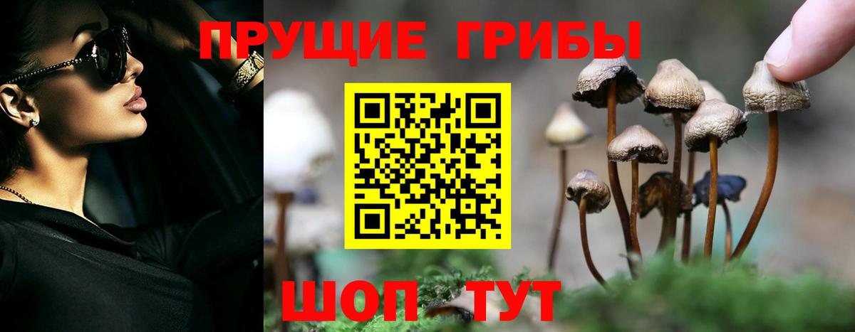 Псилоцибиновые грибы мицелий Гай